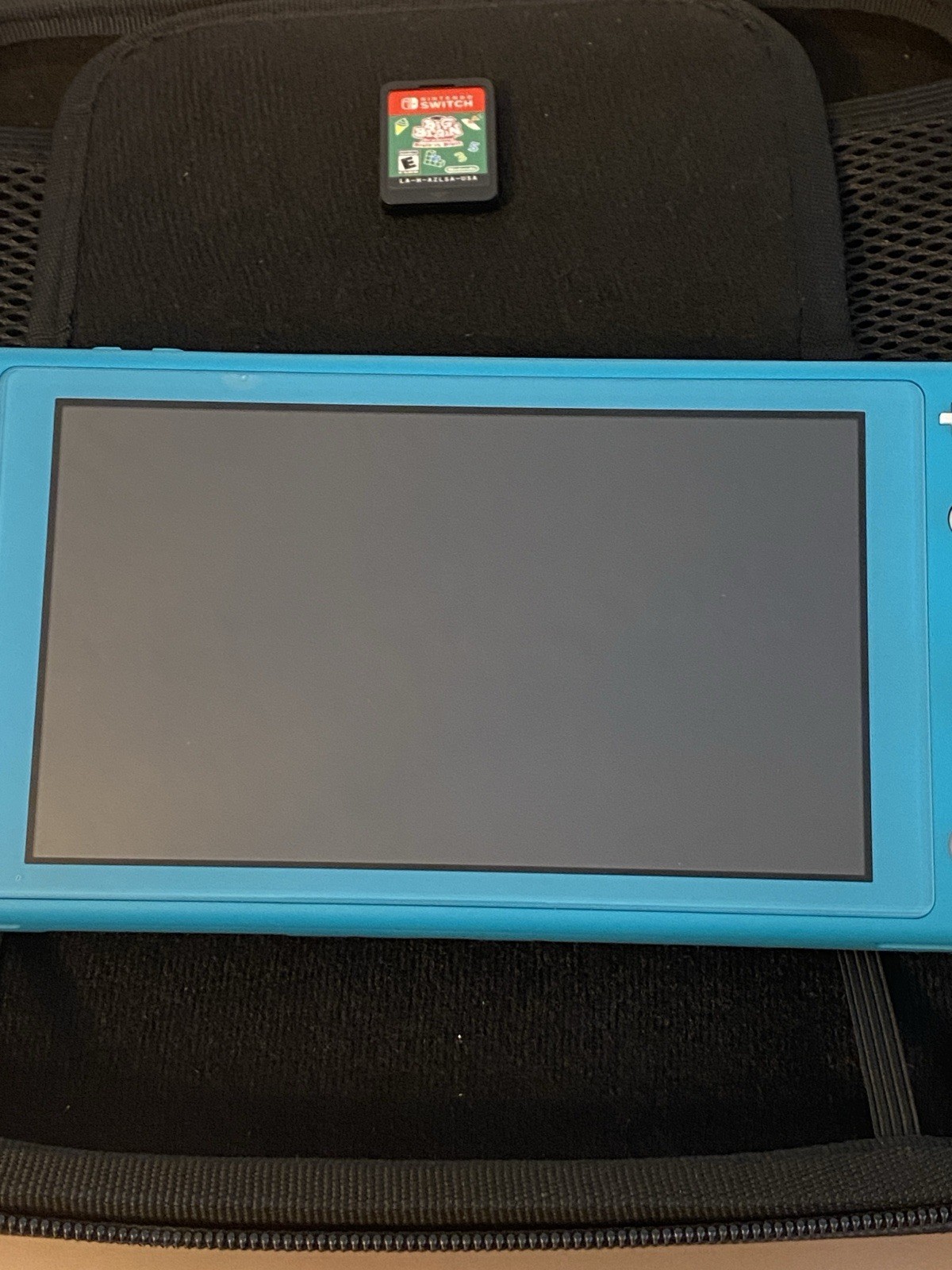 Nintendo Switch Lite Turquoise Handheld Console Case /Charger /Big Brain Game