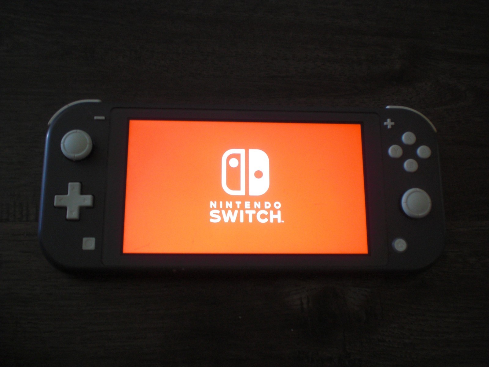 Nintendo Switch Lite Light Gray Handheld Console System Tested Works! Play Games