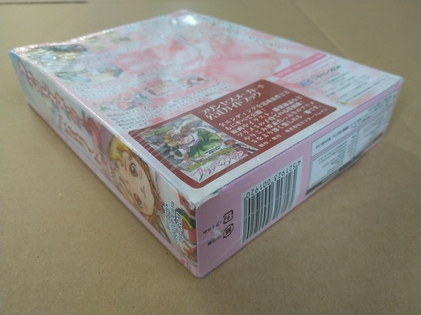 PC Windows DVD-ROM Princess Maker 5 with official guidebook (strategy book