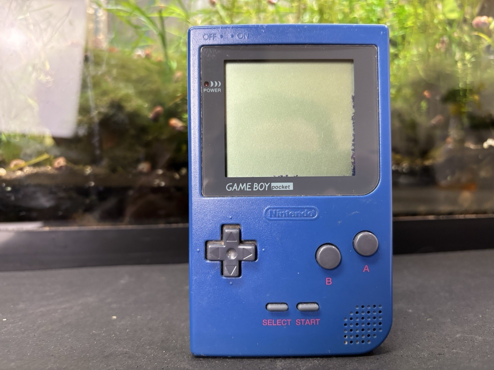 Nintendo Game Boy Pocket – Blue MGB-001 some dead pixels on border. works good