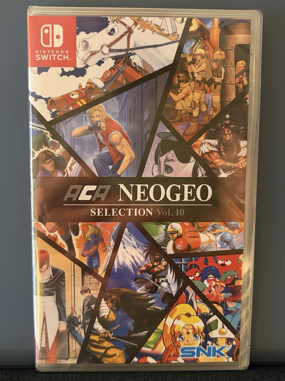 Arcade Archives (ACA) SNK NEOGEO Selection Vol. 10 (English Cover) – Brand New