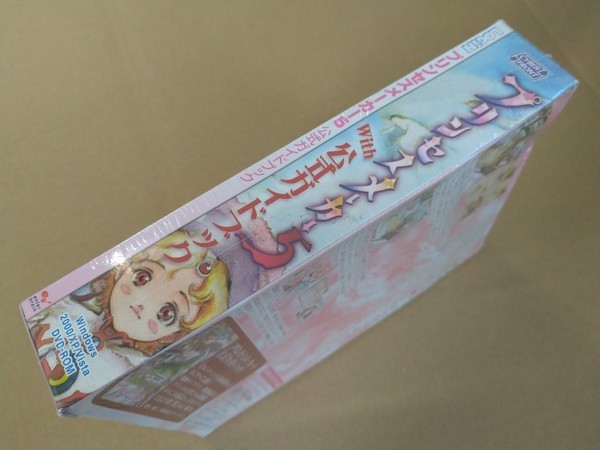 PC Windows DVD-ROM Princess Maker 5 with official guidebook (strategy book