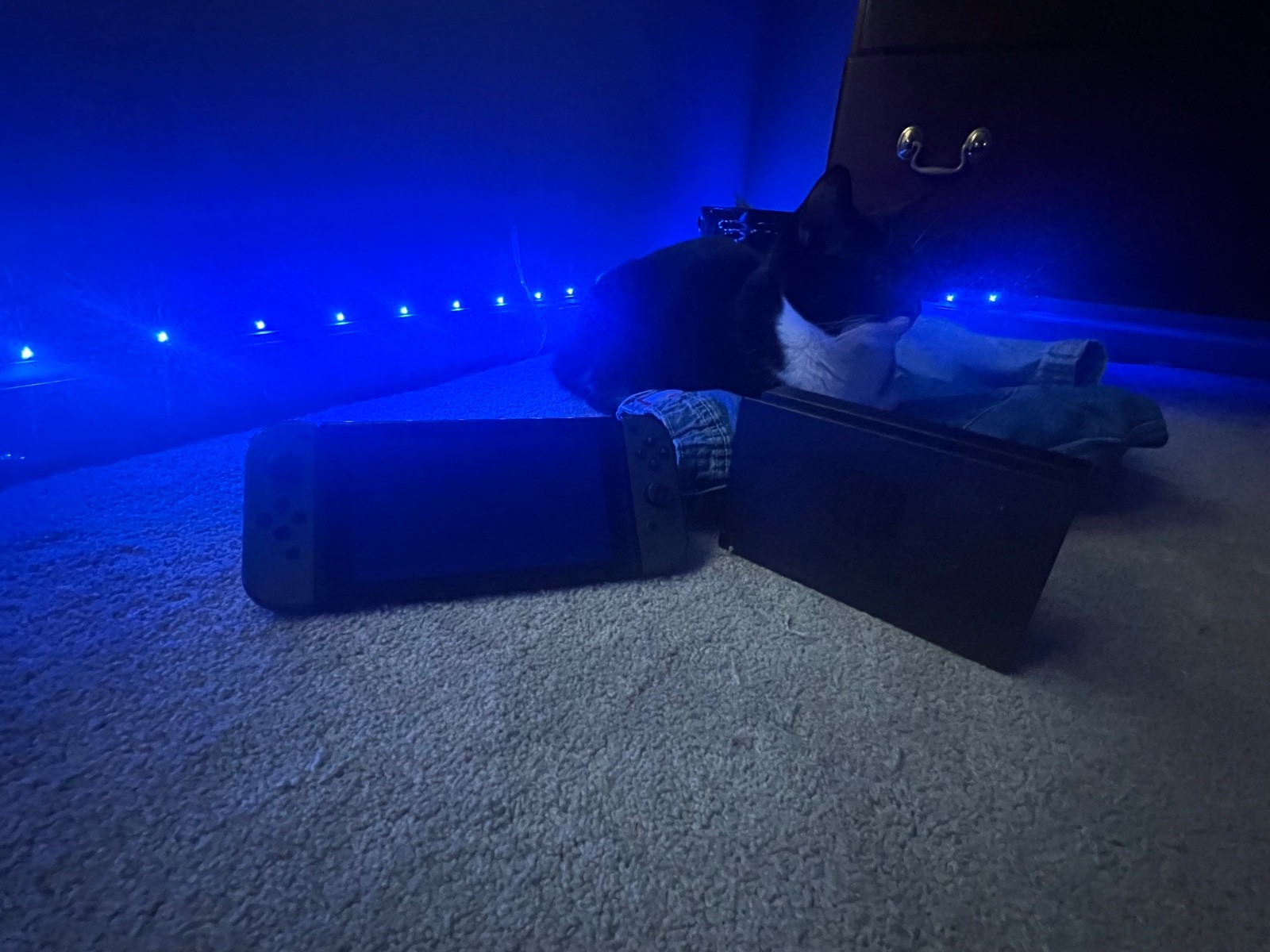 Nentendo switch with link case